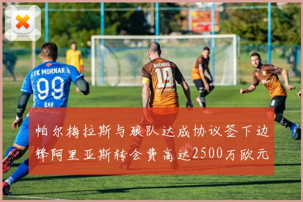 帕尔梅拉斯与狼队达成协议签下边锋阿里亚斯转会费高达2500万欧元